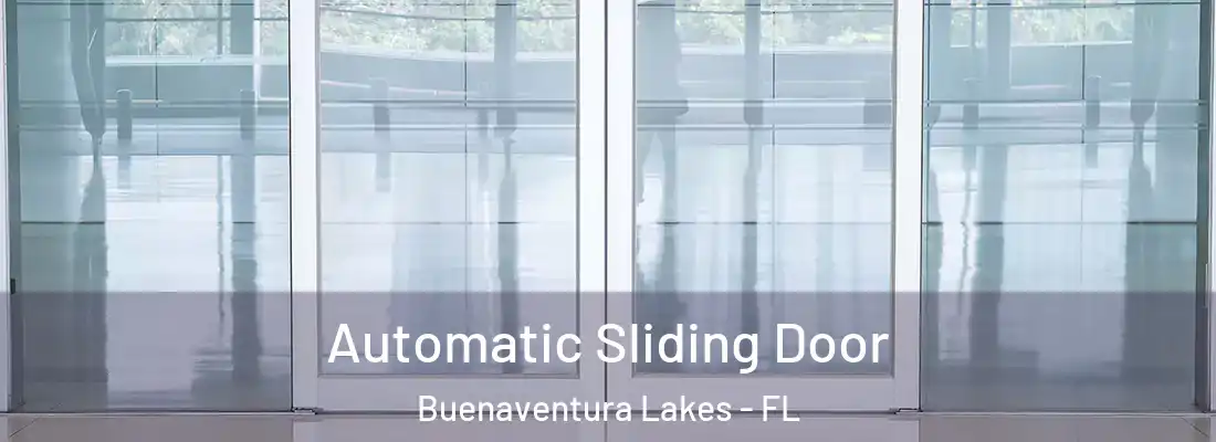 Automatic Sliding Door Buenaventura Lakes - FL