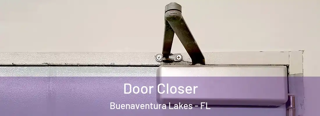 Door Closer Buenaventura Lakes - FL