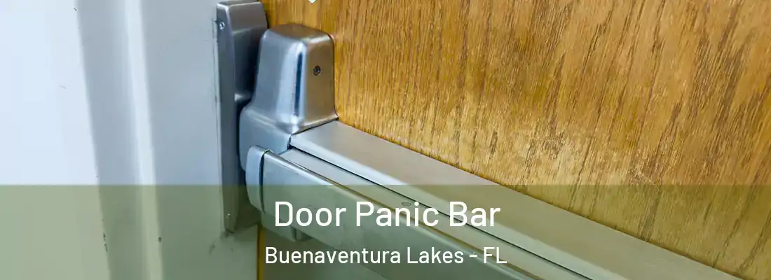 Door Panic Bar Buenaventura Lakes - FL