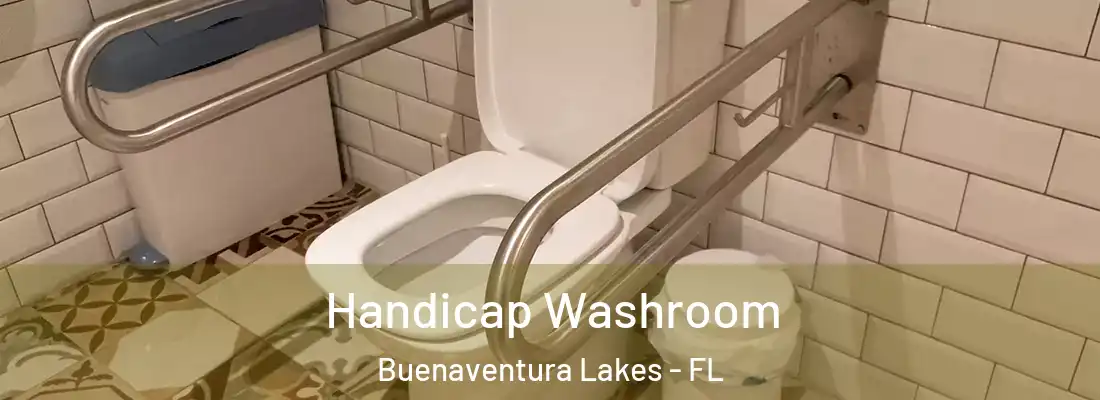 Handicap Washroom Buenaventura Lakes - FL