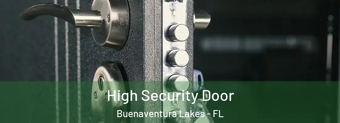 High Security Door Buenaventura Lakes - FL